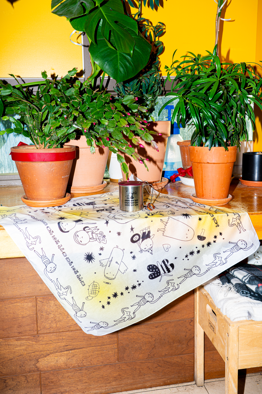 들다방 창가 초록 화분들이 놓인 테이블에 놓인 들다방 스테인리스 컵 사진. 컵의 바닥에는 활짝 펼친 들다방 노랑 손수건이 깔려 있다.